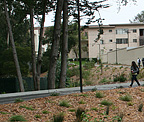 UPN Housing to Thornton Hall Bike Trail – San Francisco State University